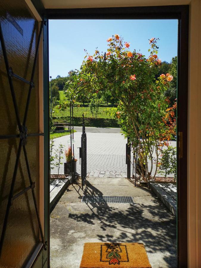 Ferienwohnung LandArt Olpe bei Meschede Exterior foto